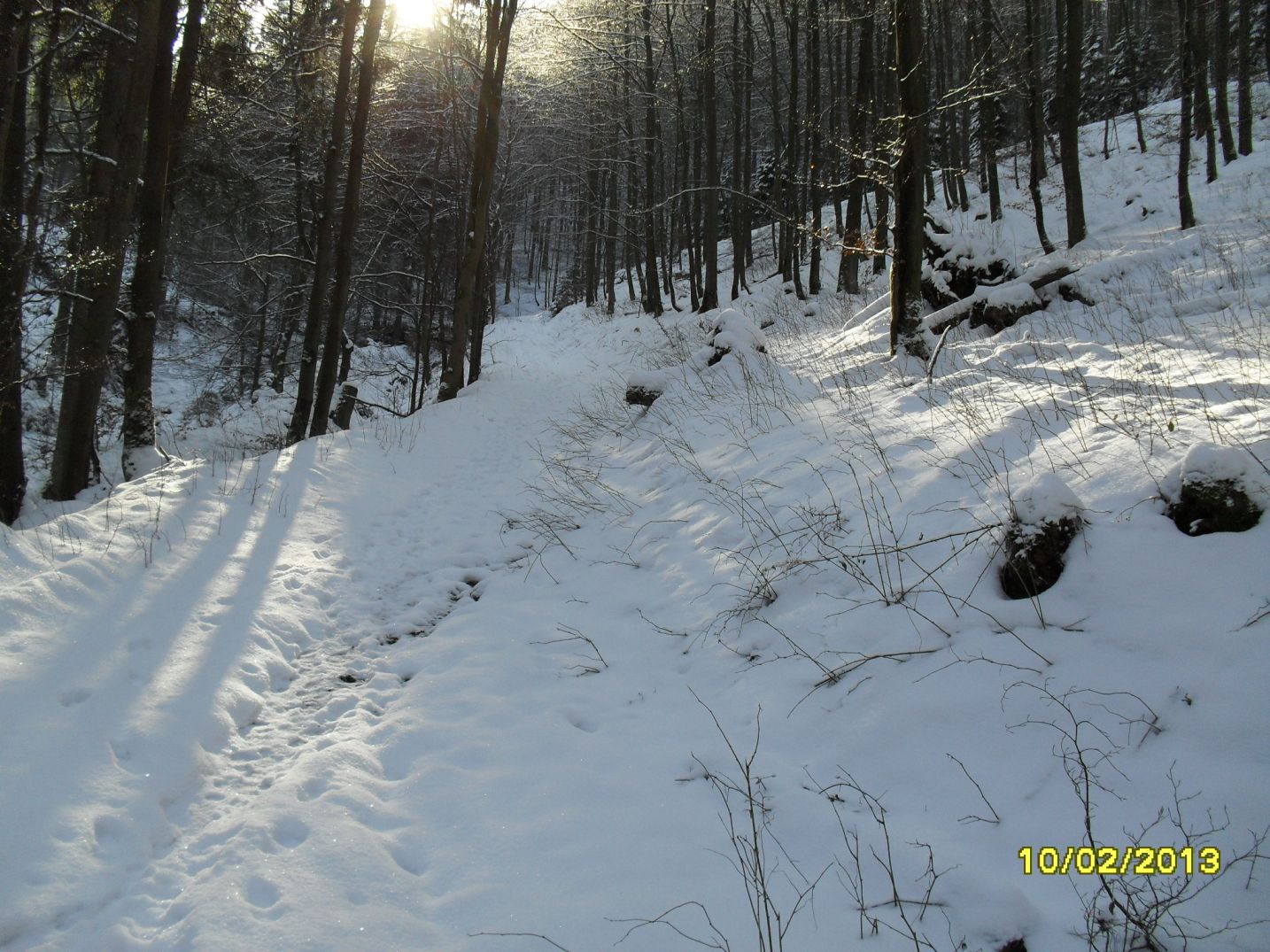 Waldweg m�anderd aufw�rts