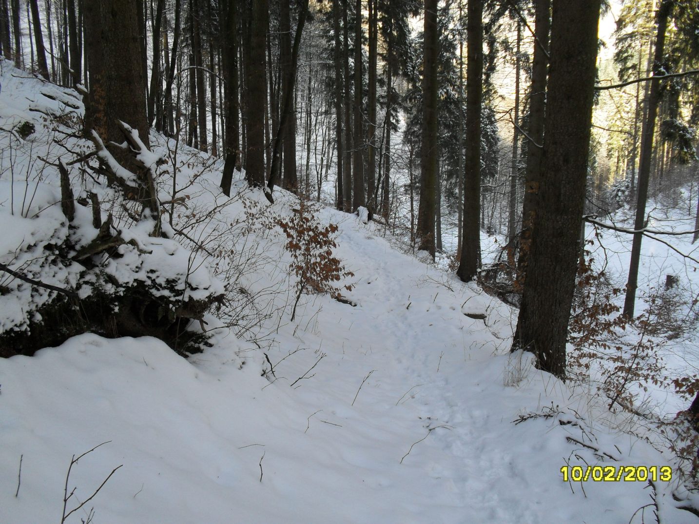 Waldweg m�andert aufw�rts