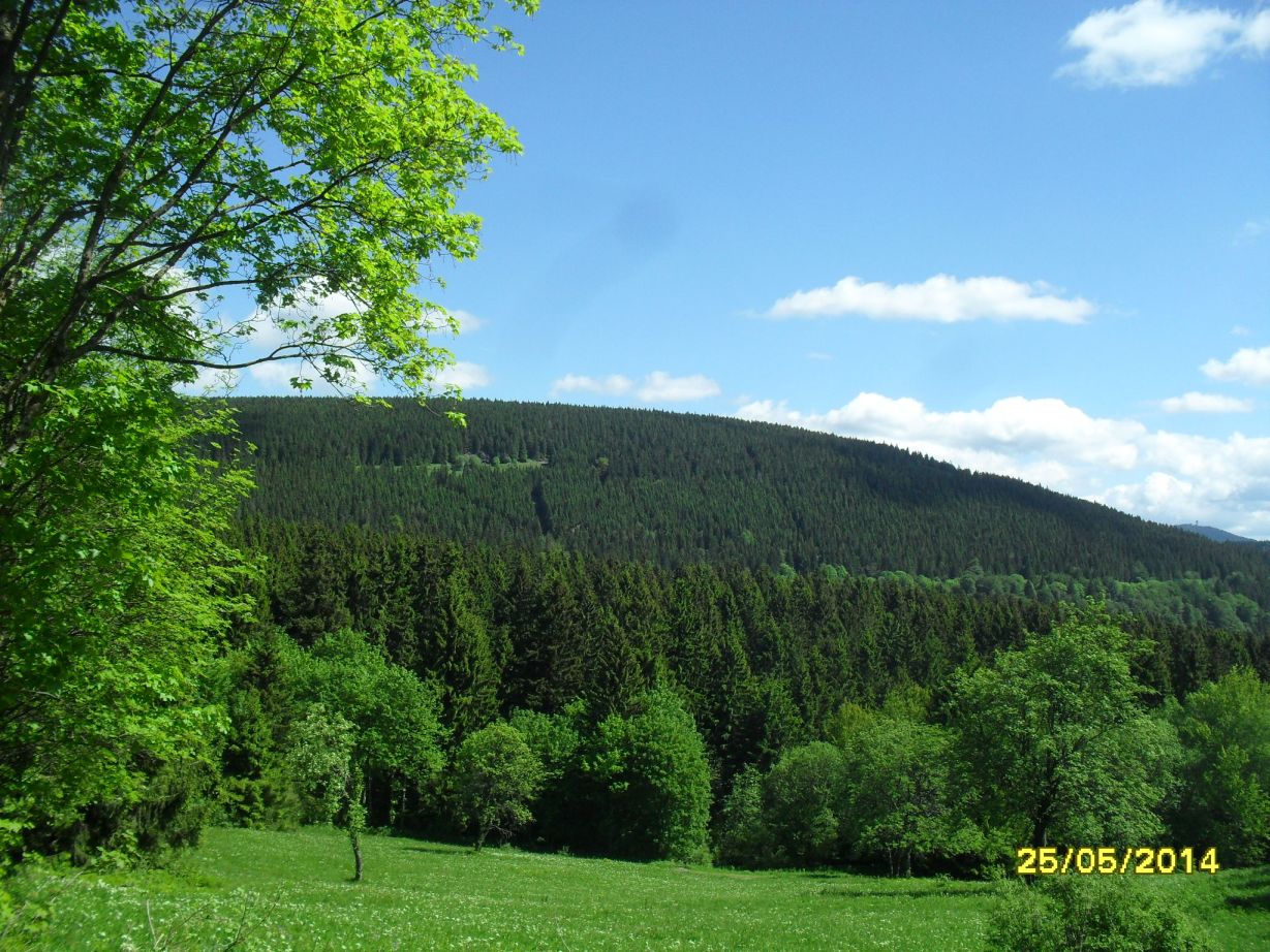 Blick auf den rehberg